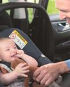 Hull families invited to free events tackling child car seat safety risks9