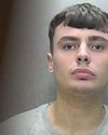 Banned driver with four burst tyres is bitten by police dog after reversing into patrol car while fleeing officers3