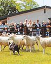 The Bishop Burton College Spring Live event returning5