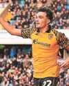 Hull Daily Mail