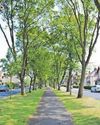 Garden Village to host open gardens event with enchanting fairy trails Garden Village to host open gardens event with enchanting fairy trails5