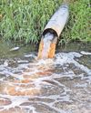 Number of sewage spills in waterways is still far to high13