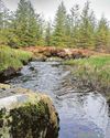 Neglected rivers could increase a risk of flooding14