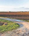 East Coast and The Wolds Target