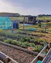 Allotment talks break down with decision likely to be settled in court Allotment talks break down with decision likely to be settled in court19