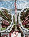 More than a million strawberry plants are bearing fresh fruit all year round More than a million strawberry plants are bearing fresh fruit all year round18