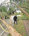 Power cuts persist due to storm