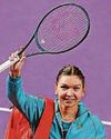 Ex-No.1 Halep retires after defeat