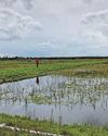 Mapping data shows 80% of England's peatlands are dry Mapping data shows 80% of England's peatlands are dry32