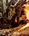The battle for the islands45