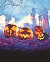 Halloween returns to Quarry Bank with a brand-new after-dark adventure for all ages Manchester Evening News