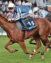 Star Of Mehmas to win the Scurry Stakes at Sandown Star Of Mehmas to win the Scurry Stakes at Sandown