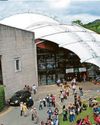 All children now out of hospital after illness scare cancelled concert6