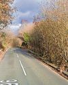 Young woman found dead in woods named8