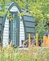 Overgrown site turned into glamping success28