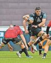 'Beast' Rhys has the physicality to tackle the Boks33