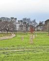 Newest country park in N.Wales is set in historic castle grounds next to A5511