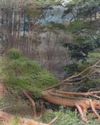 Dramatic photos show impact of storms and landslides on railway9