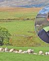 Welcome for new law toughening up on dog attacks on livestock29
