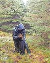 Ymchwil i arbed dyfodol y diwydiant casglu mwsogl29