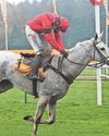 Grey's day in Cotswold Chase at Cheltenham26