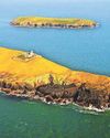 Grylls and spills: New TV series in Welsh island wilderness10