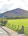 New housing estate plan approved... but it won't be for Welsh speakers only4