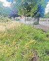 'Protect community garden' call as £10m uni scheme begins3