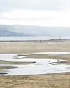 Murder inquiry as man dies at beach Murder inquiry as man dies at beach4