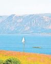 The fake island with a hidden secret11
