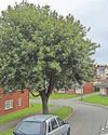 Murder probe launched after man found dead3