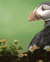 Young photographers invited to showcase some animal magic in competition Young photographers invited to showcase some animal magic in competition