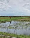 Mapping data shows 80% of England's peatlands are dry Mapping data shows 80% of England's peatlands are dry