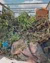 Fly-tip hotspot is given a deep clean as part of annual campaign Fly-tip hotspot is given a deep clean as part of annual campaign