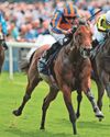 O'Brien's Lion can cement his Derby claims in Dante19