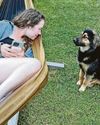 Backpacker raises £18k to give stray Paddington hope of a new life in UK1