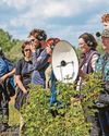 'Everything in the natural world has a voice'0