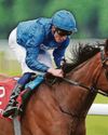 Impressive Diamond is ready to Rain on Newcastle mission19