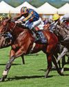 Staya can go all the way over minimum at Sandown today27