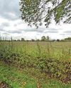 Green light for homes despite bad smell warning4