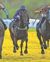 Aeolian is ready to hit target on royal Ayr raid for Haggas21