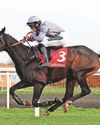 Trainer Tom George takes over handling of Il Est Francais Trainer Tom George takes over handling of Il Est Francais23
