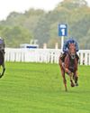 St Mawes looks set to strike again at Nottingham today22