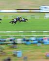 Morte ready to make another winning Point at Chelmsford25