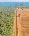Supermarkets warned over animal feed products from deforested land20