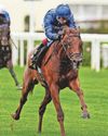 Consistent Amber Honey can gain sweet success at Wolves21