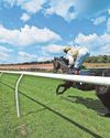 Thaluna can build on promise of York win for Haggas today18