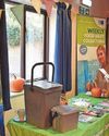 Pumpkins are stars of festival with waste-free ideals7