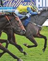 Vintner can Master his rivals for November Handicap win20