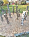 'Dead wood' structure can help biodiversity 'Dead wood' structure can help biodiversity1